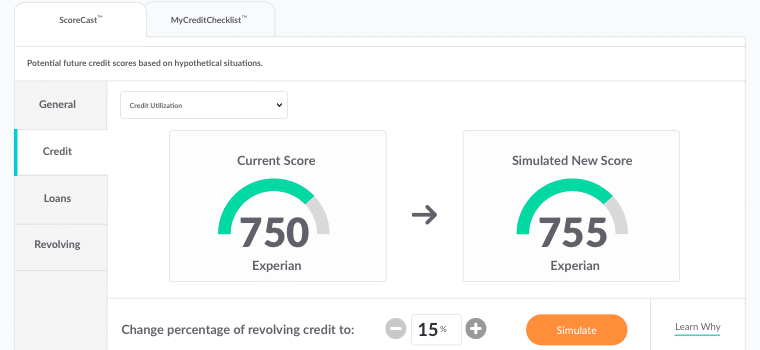 Credit score simulator